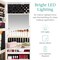 Best Choice Products Hanging Mirror Jewelry Armoire, Door or Wall Mounted Cabinet w/ LED Lights, Lock